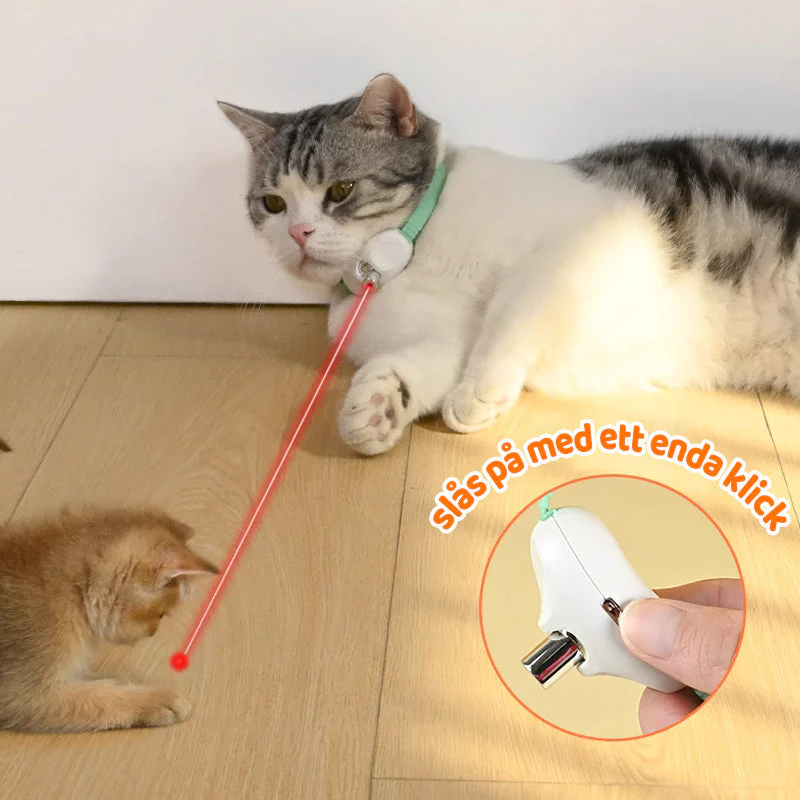 1+1 FREE | CatPulse – Keep Your Cat Active and Entertained All Day Long - Image 4