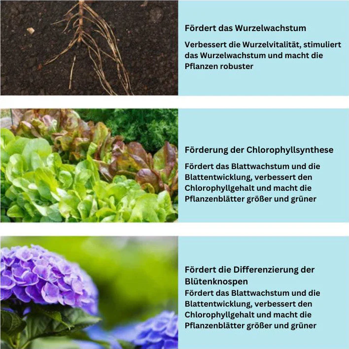 1+1 FREE | GrowBoost - Bring plants back to life in an environmentally friendly way! - Image 6