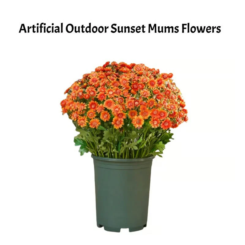 AutumnBloom – Permanent Autumn Splendor Without Maintenance! - Image 2