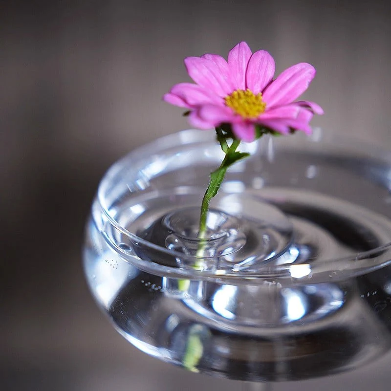 5+5 FREE | BloomRise – Keeps Flowers Immediately Perfectly Upright and Beautiful - Image 6