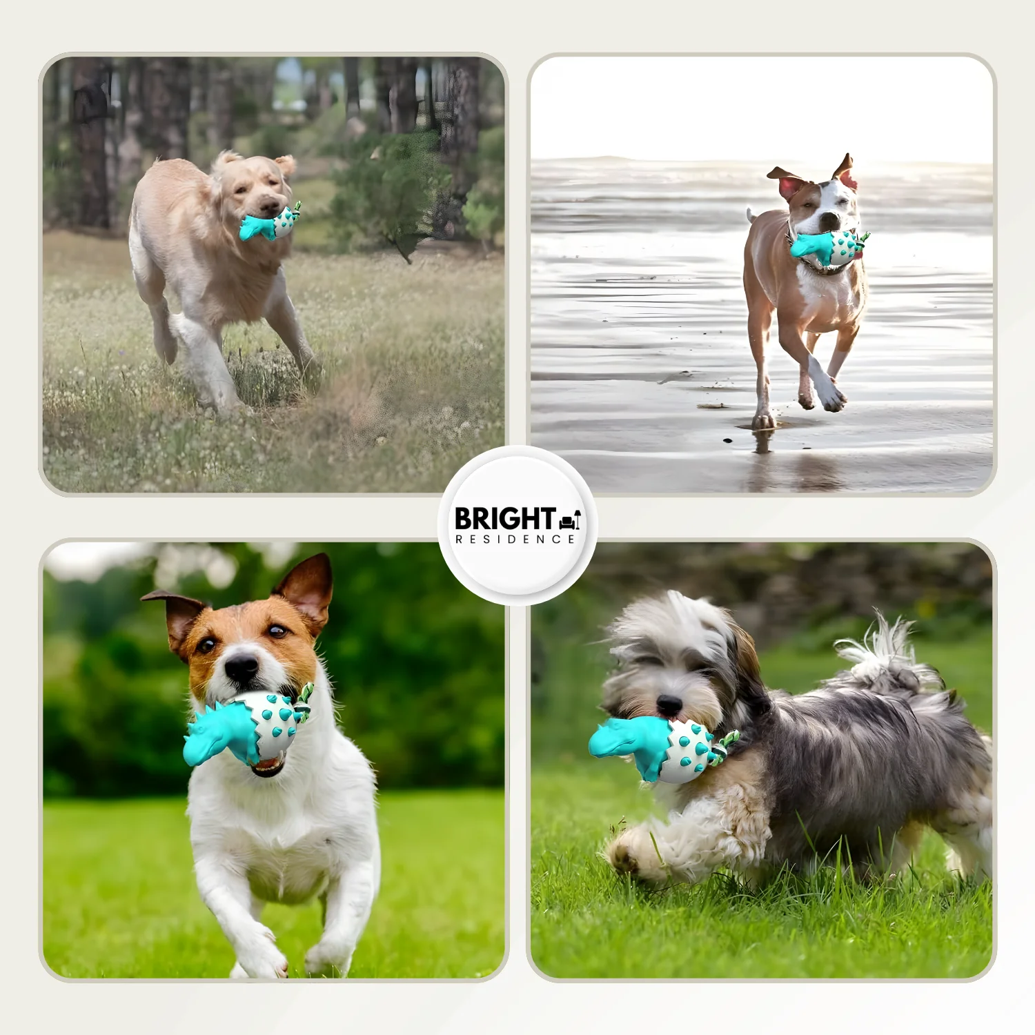 DinoEgg – The indestructible chew egg for healthy dog teeth! - Image 5