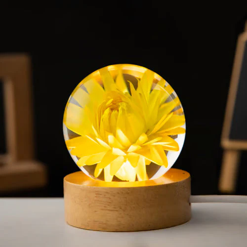 LumaBloom – Magical Light That Enchants Hearts - Image 13