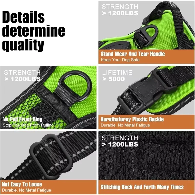 PawGuard – Safe & Stylish Walking - Image 3