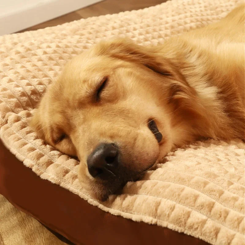 PawHaven – For Restful Sleep and Happy Dog Days - Image 3