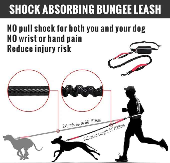 PawsFree Pro – Stress-Free Walks with Your Dog - Image 10