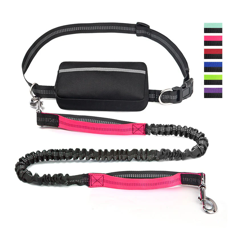 PawsFree Pro – Stress-Free Walks with Your Dog - Image 29