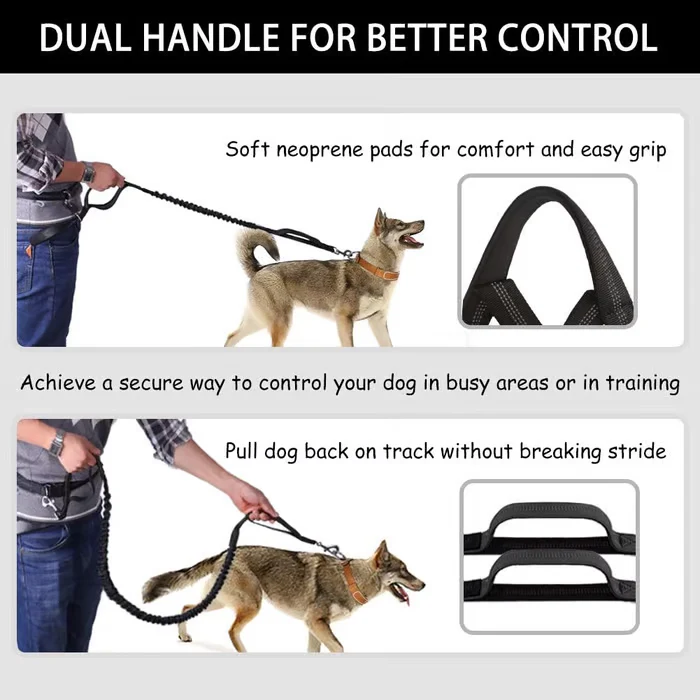 PawsFree Pro – Stress-Free Walks with Your Dog - Image 4