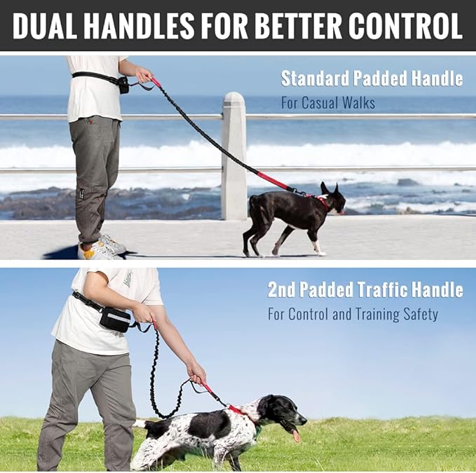 PawsFree Pro – Stress-Free Walks with Your Dog - Image 9