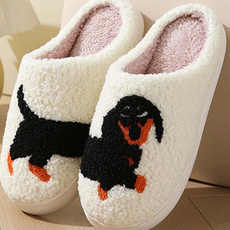 PawSnooze – Warmth & Comfort That Make You Happy