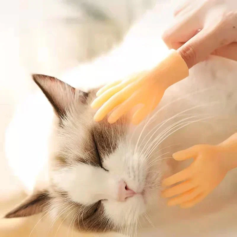 PawsTouch – The Toy Every Cat Instantly Loves - Image 4