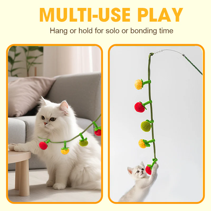 1+1 FREE | TomatoCat – Keeps Your Cat Active, Happy, and Playful Every Day - Image 2